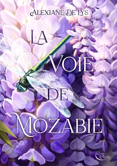 La voie de Mozabie