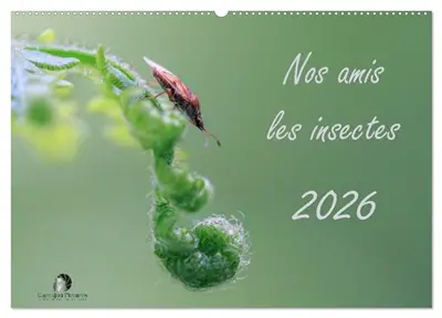 Nos amis les insectes (Calendrier mural 2026 DIN A2 vertical), CALVENDO calendrier mensuel : Un regard fascinant sur le monde miniature des insectes.