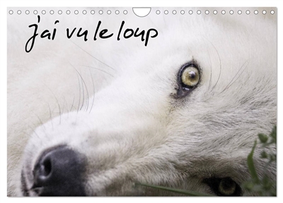 J'ai vu le loup (Calendrier mural 2025 DIN A4 vertical), CALVENDO calendrier mensuel : Loups gris et loups arctiques du Canada