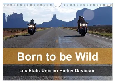 Born to be wild – Les Etats-Unis en Harley-Davidson (Calendrier mural 2026 DIN A4 vertical), CALVENDO calendrier mensuel : Les magnifiques paysages du Sud-Ouest américain vus de la selle d'une Harley