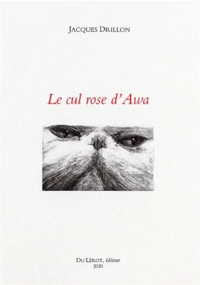 Le cul rose d'Awa
