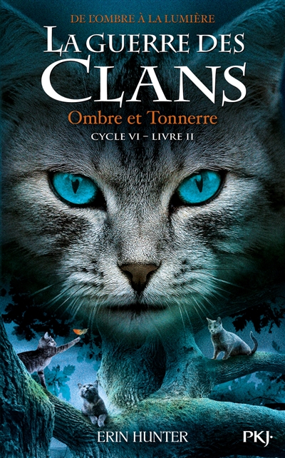 La Guerre des Clans Cycle 6 - Tome 2 : Ombre et tonnerre