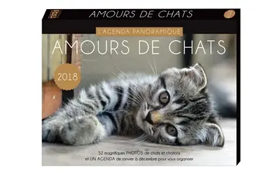 Amours de chats 2018