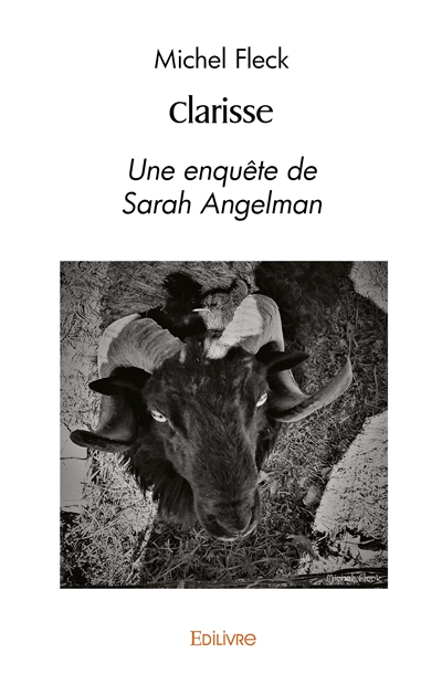Clarisse : Une enquête de...