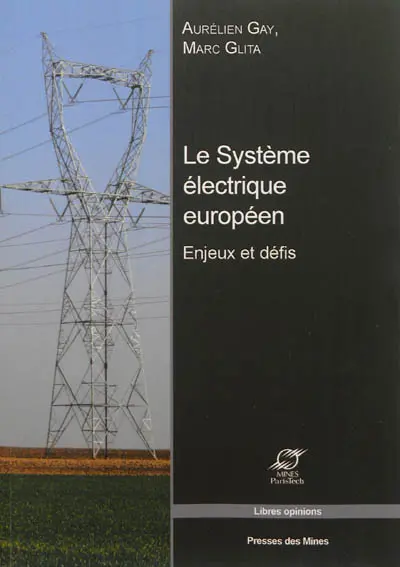 Le système électrique européen : enjeux et défis