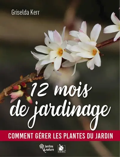 12 mois de jardinage : comment gérer les plantes du jardin en toutes saisons