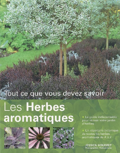 Les herbes aromatiques : tout ce que vous devez savoir