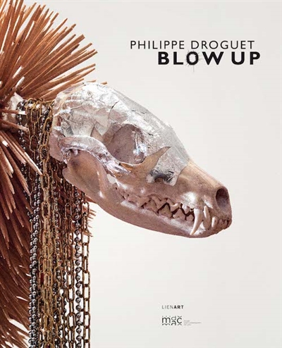 Philippe Droguet : Blow up : exposition, Lyon, Musée d'art contemporain, du 25 mai au 21 juillet 2013