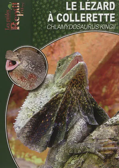 Le lézard à collerette : Chlamydosaurus Kingii