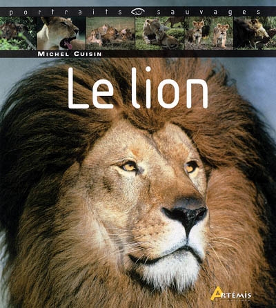 Le lion