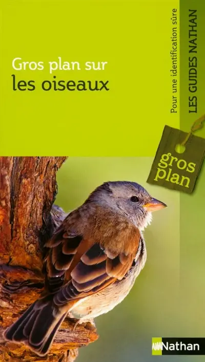 Les oiseaux