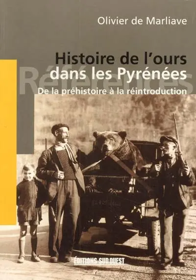 Histoire de l'ours dans les Pyrénées : de la préhistoire à la réintroduction