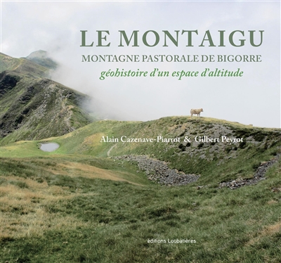 Le Montaigu, montagne pastorale de Bigorre : géohistoire d'un espace d'altitude