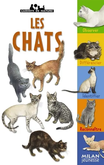 Les chats