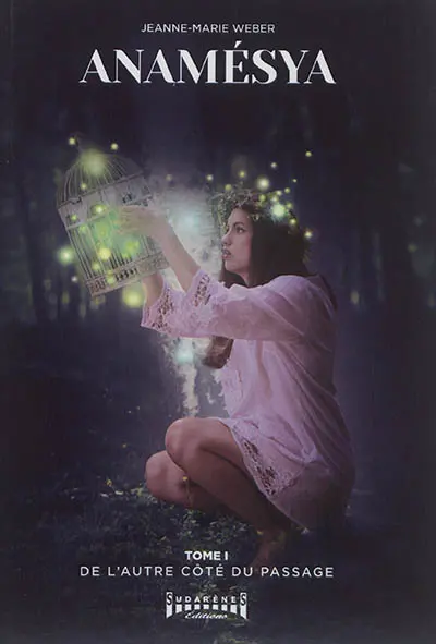 Anamésya. Vol. 1. De l'autre côté du passage