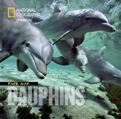 Face aux dauphins