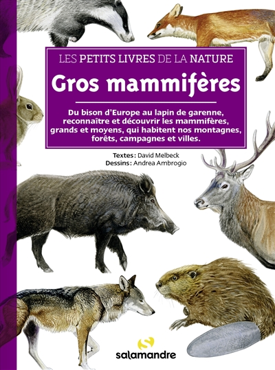 Gros mammifères : du bison d'Europe au lapin de garenne, reconnaître et découvrir les mammifères de taille moyenne à grande qui habitent nos montagnes, forêts, campagnes et villes