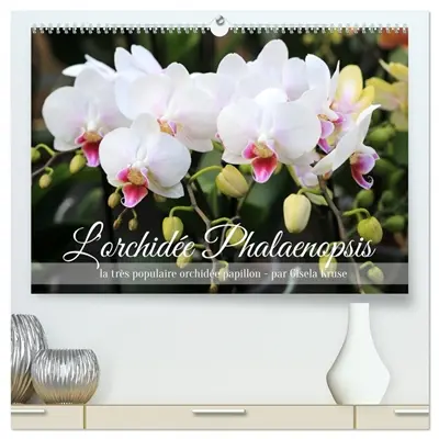 L'orchidée Phalaenopsis (Calendrier mural 2026 DIN A2 vertical) calendrier de bureau : Le Phalaenopsis est la star incontestée des orchidées