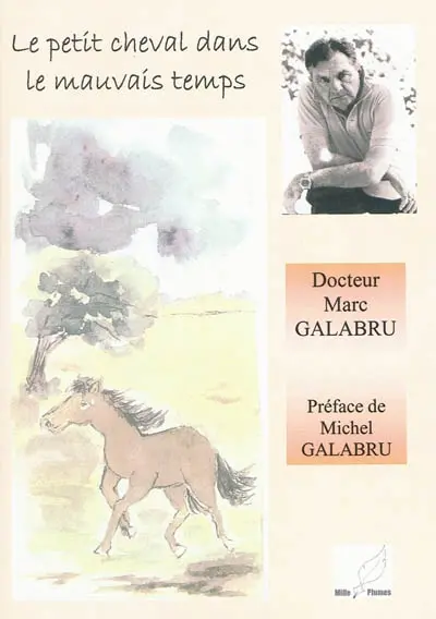 Le petit cheval dans le mauvais temps : récit