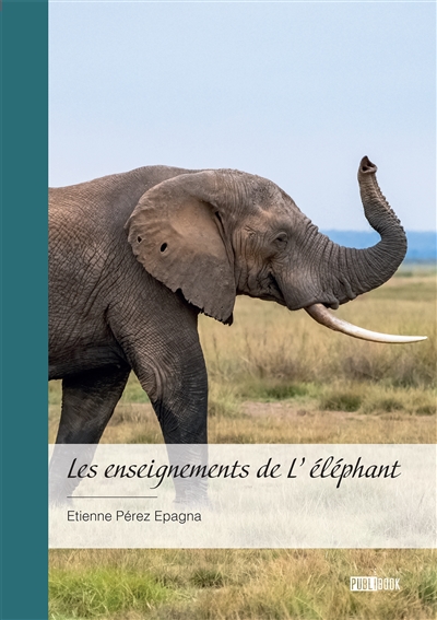Les enseignements de...