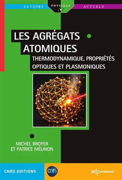 Les agrégats atomiques. Vol. 2. Thermodynamique, propriétés optiques et plasmoniques