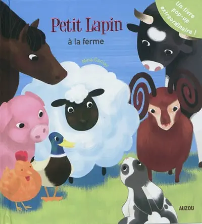 Petit lapin à la ferme