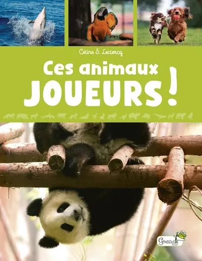 Ces animaux joueurs !