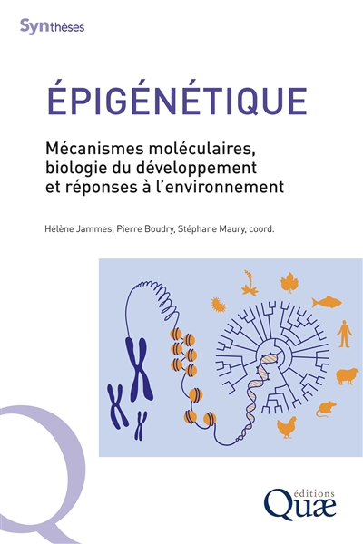 Epigénétique : mécanismes moléculaires, biologie du développement et réponses à l'environnement