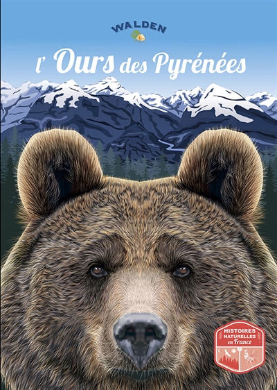 L'ours des Pyrénées