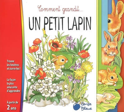 Comment grandit... Un petit lapin