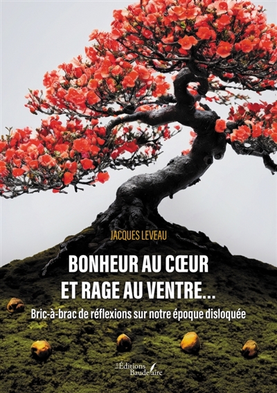 Bonheur au coeur et rage au ventre... : Bric-à-brac de réflexions sur notre époque disloquée
