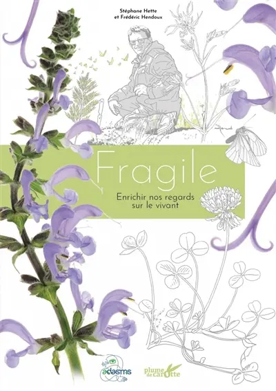 Fragile : enrichir nos regards sur le vivant