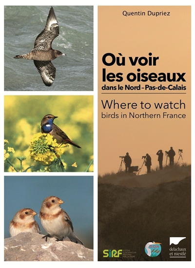 Où voir les oiseaux dans le Nord-Pas-de-Calais. Where to watch birds in Northern France