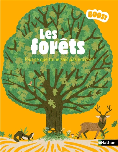 Les forêts : tout ce que tu...