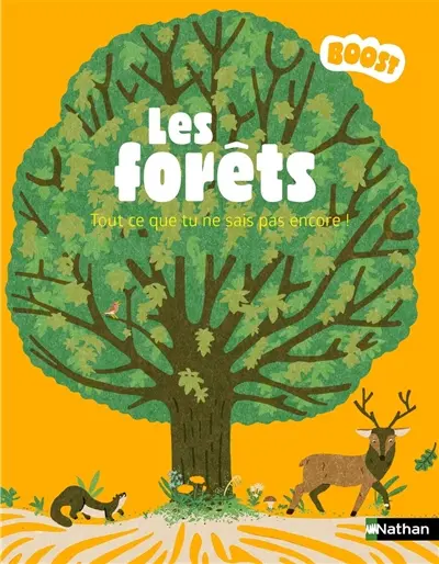 Les forêts : tout ce que tu ne sais pas encore !