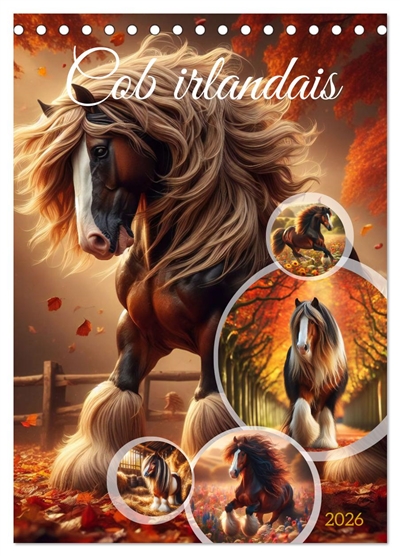 Cob irlandais (Calendrier...