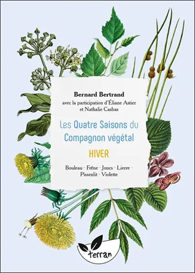 Les quatre saisons du Compagnon végétal. Hiver : bouleau, frêne, joncs, lierre, pissenlit, violette