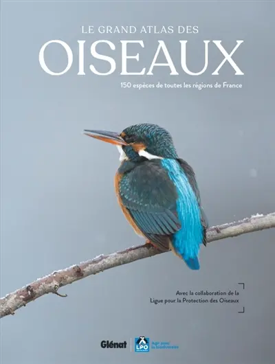 Le grand atlas des oiseaux : 150 espèces de toutes les régions de France Le grand atlas des oiseaux : 150 espèces de toutes les régions de France