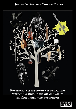 Pop rock : les instruments de l'ombre : méconnus, incongrus ou mal-aimés, de l'accordéon au xylophone