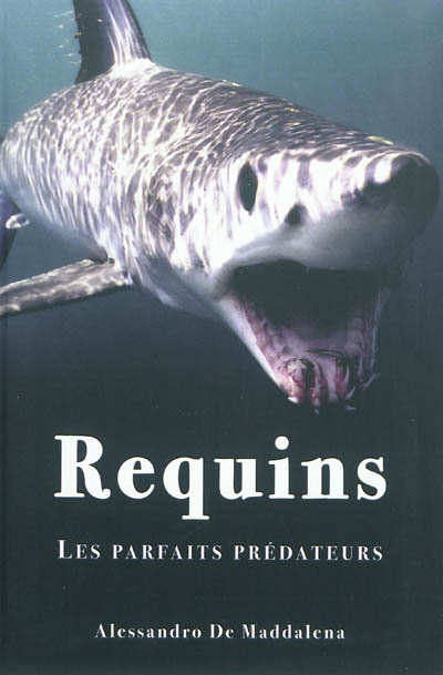 Requins : les parfaits prédateurs