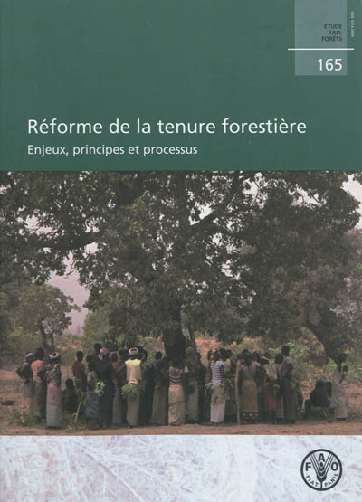 Réforme de la tenure forestière : enjeux, principes et processus
