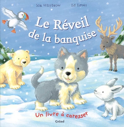 Le réveil de la banquise