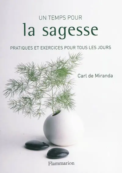 Un temps pour la sagesse : pratiques et exercices pour tous les jours