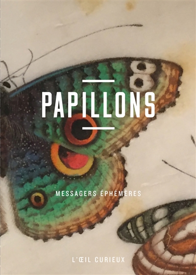 Papillons : messagers éphémères