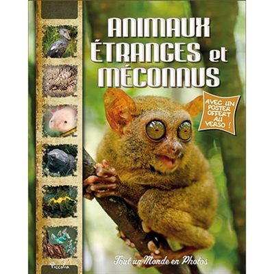 Animaux Etranges et Meconnus