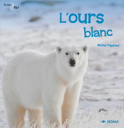L'ours blanc
