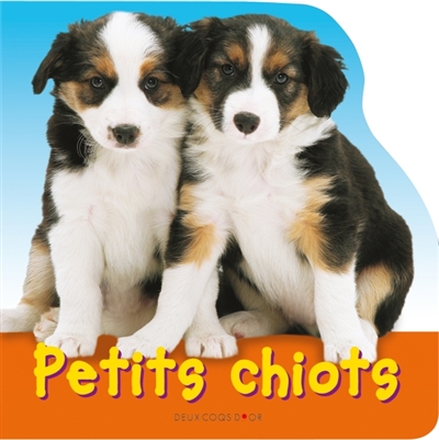 Petits chiots