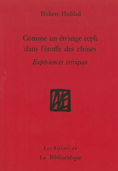 Comme un étrange repli dans l'étoffe des choses : expériences critiques