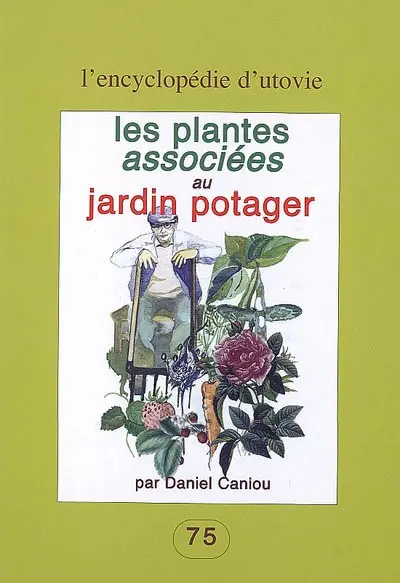 Les plantes associées au jardin potager