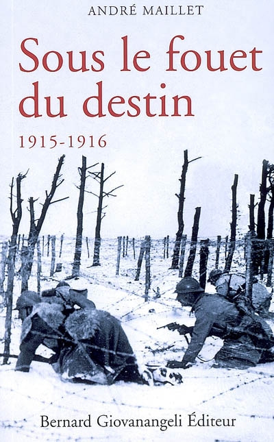 Sous le fouet du destin : histoire d'une âme aux temps héroïques, 1915-1916